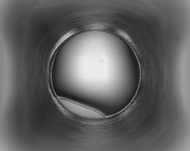 X0000087561426200704270918