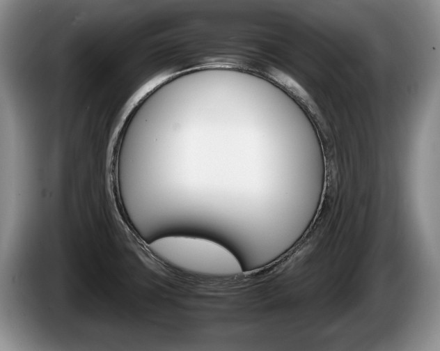 X0000087561427200704270918