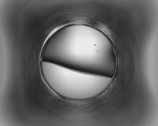 X0000087561428200704270918