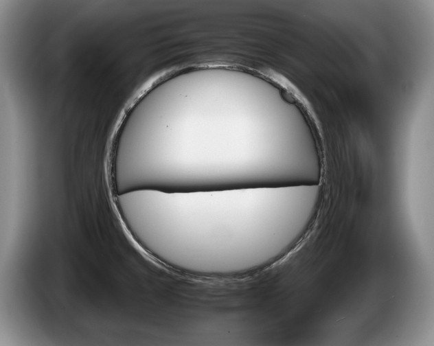 X0000087561429200704270918