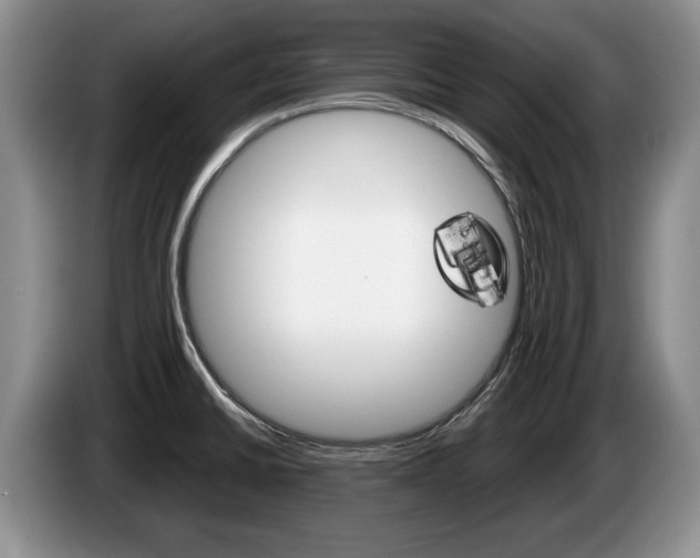X0000087561430200704270918
