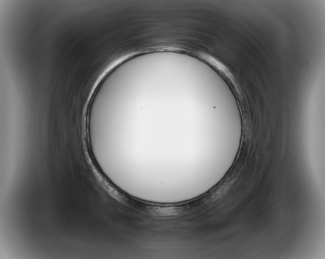 X0000087561431200704270918