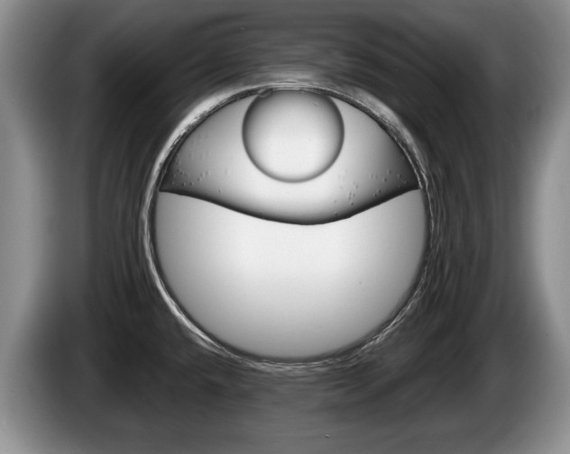 X0000087561432200704270918