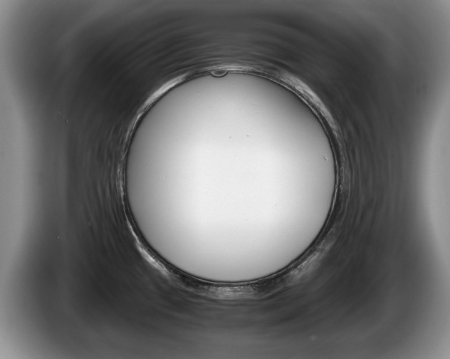 X0000087561433200704270918