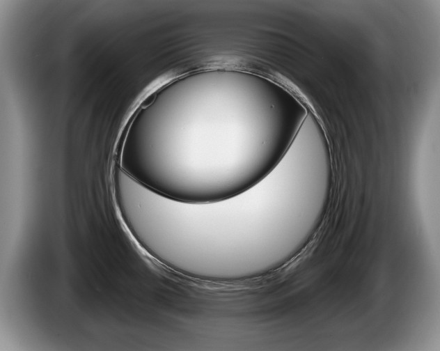 X0000087561434200704270918