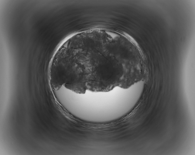 X0000087561435200704270918