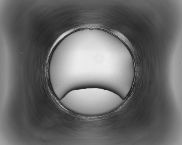 X0000087561436200704270918