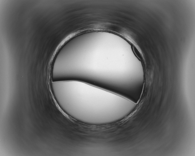 X0000087561437200704270918