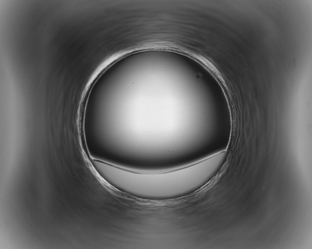 X0000087561438200704270918