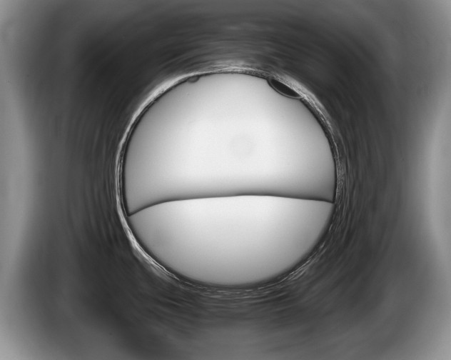 X0000087561439200704270918