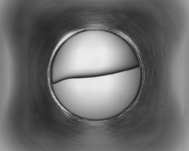 X0000087561440200704270918