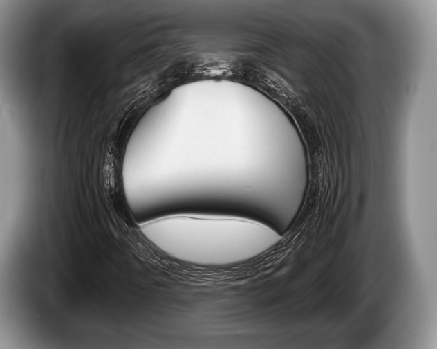 X0000087561442200704270917