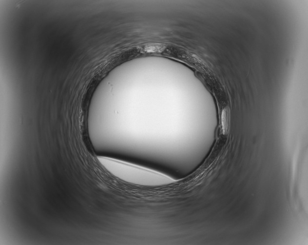 X0000087561443200704270917