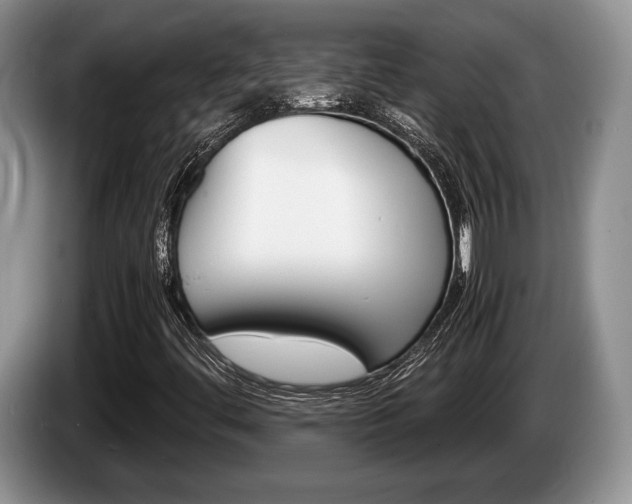 X0000087561444200704270917