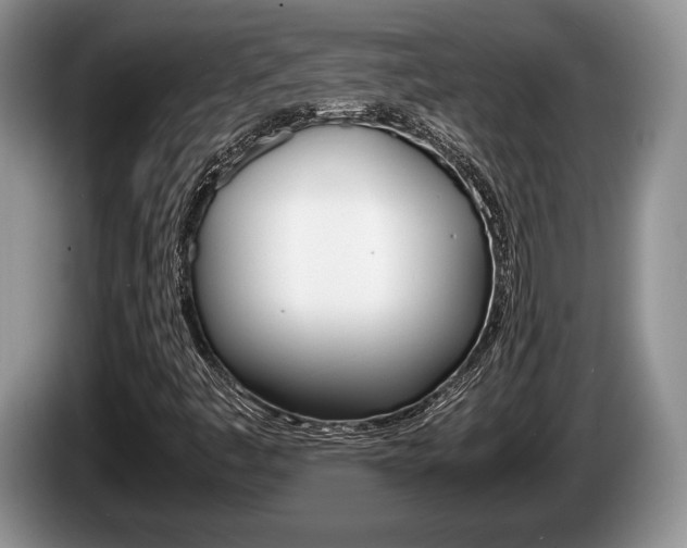 X0000087561445200704270917