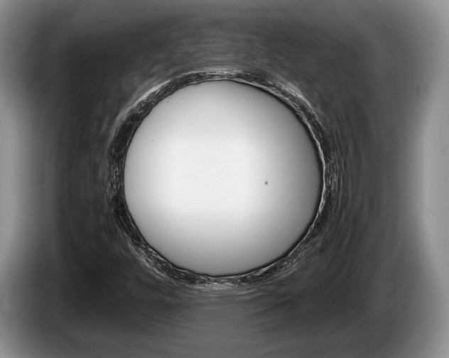 X0000087561448200704270917