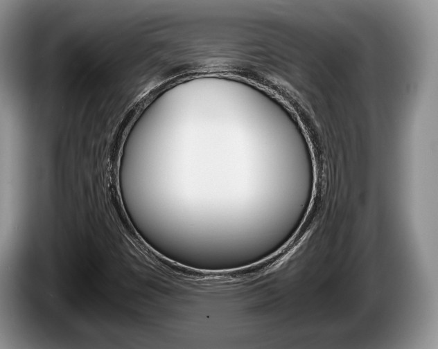 X0000087561449200704270917