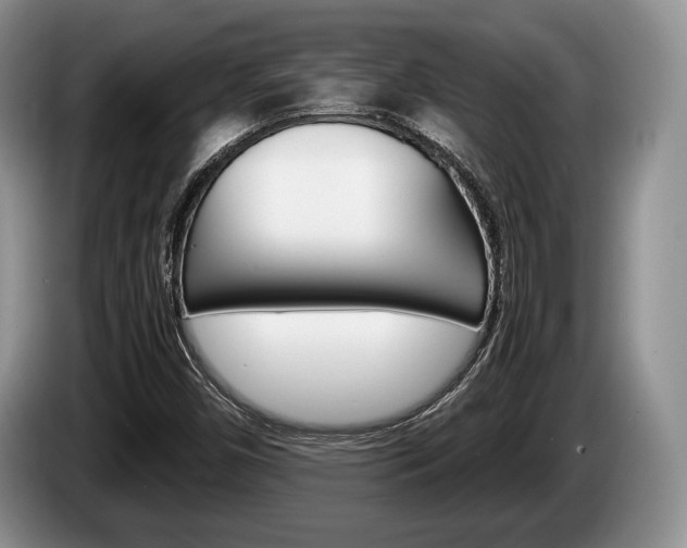 X0000087561450200704270917