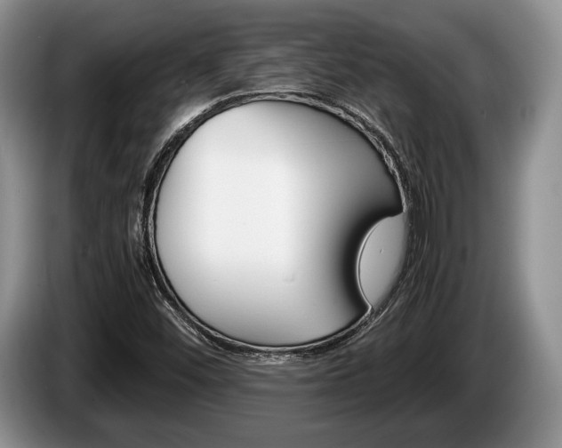 X0000087561452200704270917