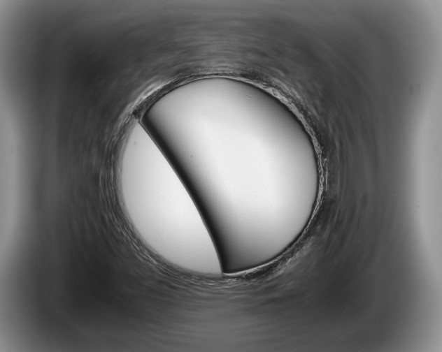 X0000087561453200704270917