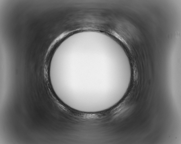 X0000087561454200704270917