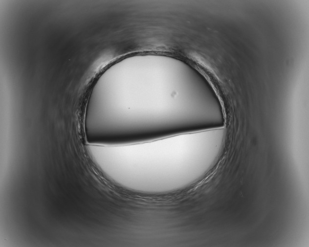 X0000087561455200704270917