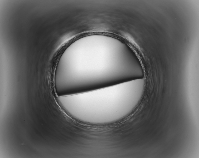 X0000087561456200704270917