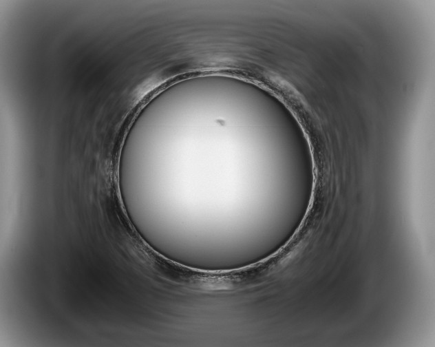 X0000087561457200704270917