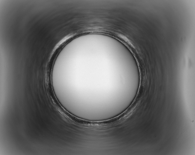 X0000087561458200704270917