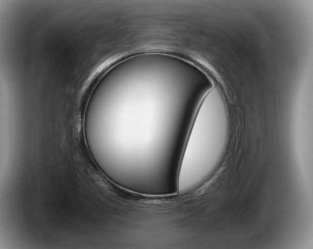 X0000087561461200704270917