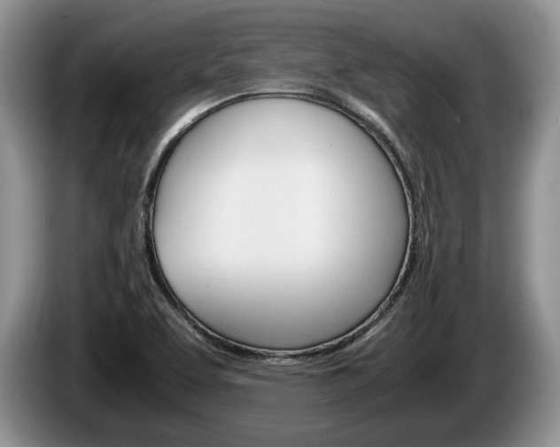 X0000087561463200704270917