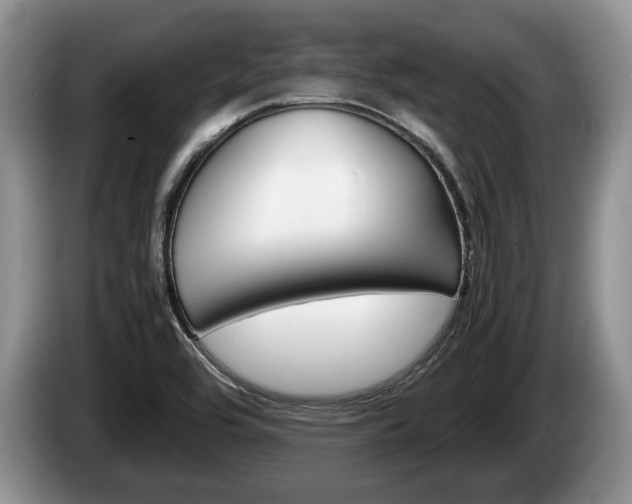 X0000087561464200704270917