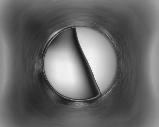 X0000087561465200704270917