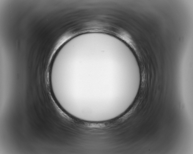 X0000087561466200704270917