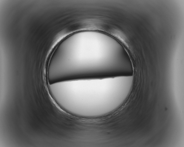 X0000087561468200704270917