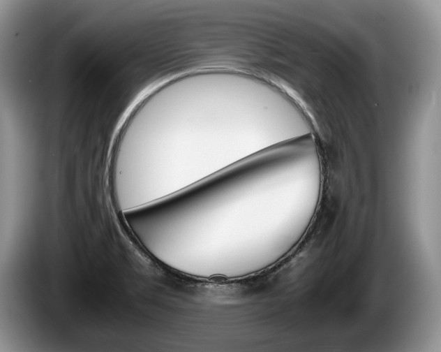 X0000087561469200704270917