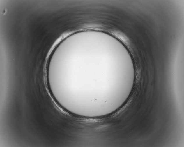X0000087561470200704270917