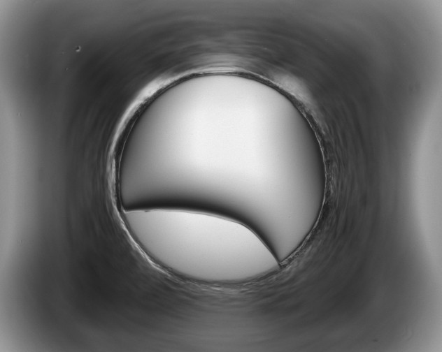X0000087561472200704270917