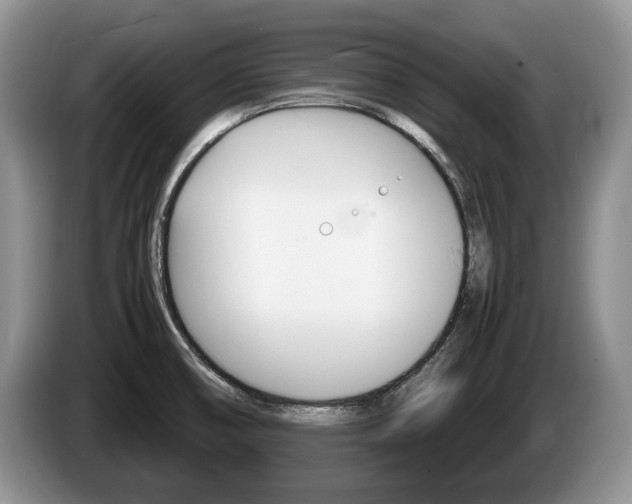 X0000087561474200704270917