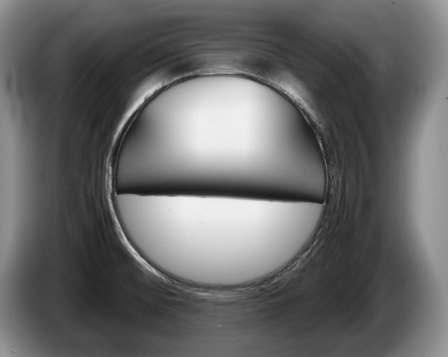 X0000087561476200704270917