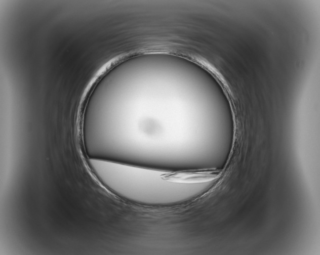 X0000087561477200704270917