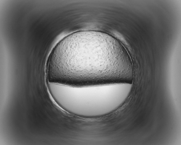 X0000087561479200704270917