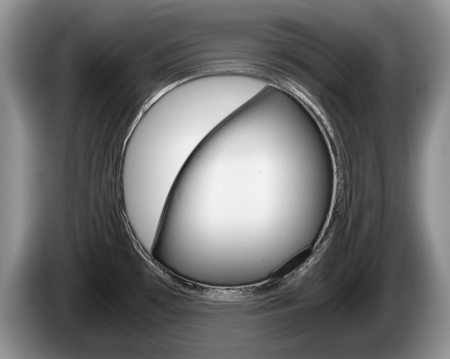 X0000087561481200704270917