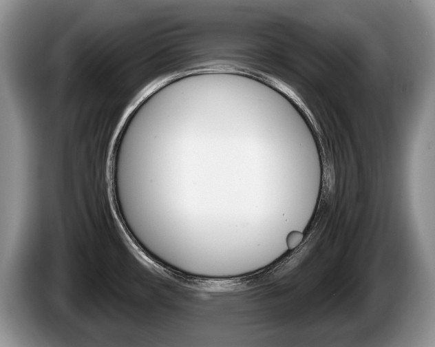 X0000087561482200704270917