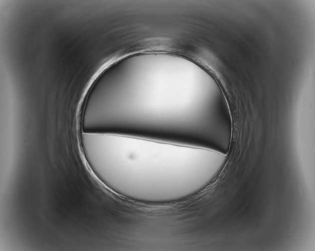 X0000087561483200704270917