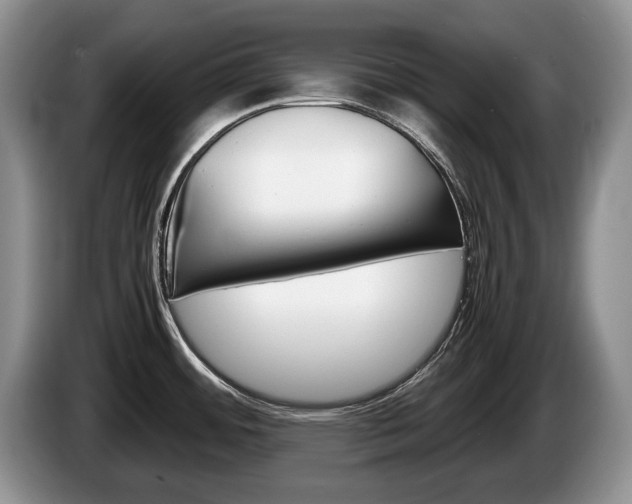 X0000087561484200704270917