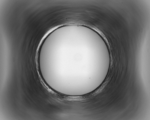 X0000087561486200704270917