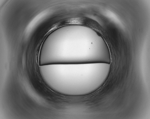 X0000087561487200704270917