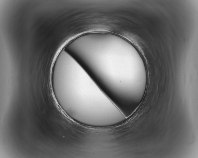 X0000087561488200704270917