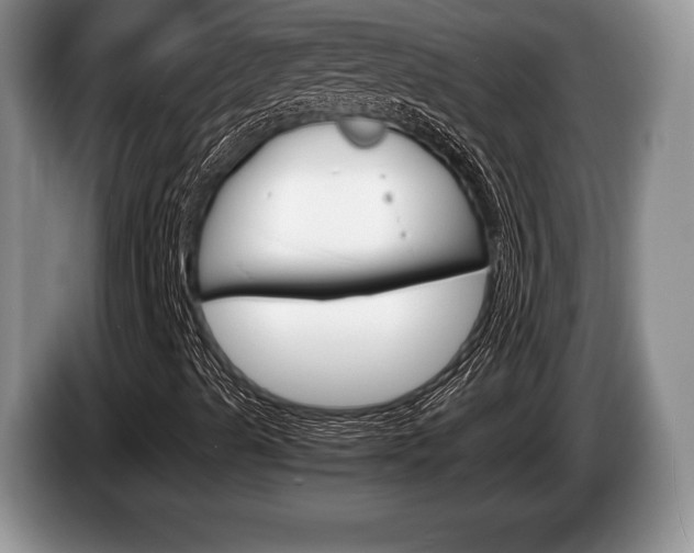 X0000087561489200704270916